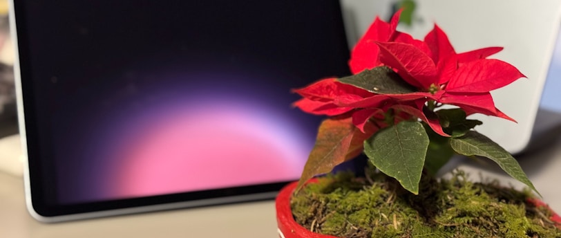 Christmas Tech Bundle Deals You Can’t Miss: Save Big on Gadgets This Holiday